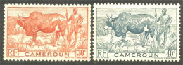 236 Cameroun Boeuf Bosse Vache Cow Kuh Koe Vaca Mucca Agriculture Élevage Sans Gomme (CAM-125) - Neufs