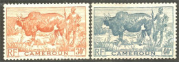 236 Cameroun Boeuf Bosse Vache Cow Kuh Koe Vaca Mucca Agriculture Élevage Sans Gomme (CAM-124) - Koeien