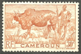 236 Cameroun Boeuf Bosse Vache Cow Kuh Koe Vaca Mucca Agriculture Élevage Sans Gomme (CAM-121) - Mucche