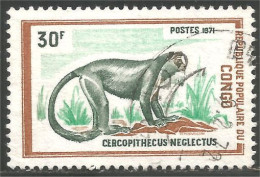 272 Congo Affe Scimmia Singe De Brazza Monkey Mono (CGO-78b) - Usati