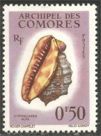 270 Comores Coquillages Shells Schaltier Mariscos Moluscos MH * Neuf (COM-53) - Unused Stamps