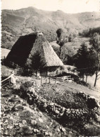 FRANCE - L'Auvergne  Au Plomb Du Cantal - Vue Sur Un Vieux Buron - Carte Postale Ancienne - Autres & Non Classés