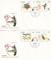 FDC 1992  CUBA - Hummingbirds