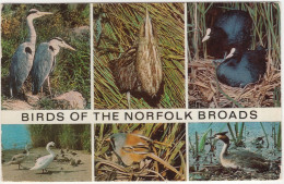 Birds Of The Norfolk Broads - (England, U.K.) - 1976 - Sonstige & Ohne Zuordnung