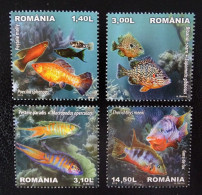 Rumänien Mi 6625-6628 ** , Zierfische - Unused Stamps