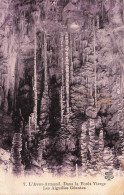 FRANCE - L'Aven Armand - Dans La Forêt Vierge  - Vue Sur Les Aiguilles Géantes- Carte Postale Ancienne - Other & Unclassified