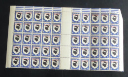 ALGERIE - 1945-47 - N°YT. 243 - Blason De Corse - Bloc De 50 Bord De Feuille - Neuf Luxe ** / MNH - Unused Stamps