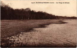 CPA SAINT-LEGER-en-YVELINES Les Etangs De Hollande (1384918) - St. Leger En Yvelines