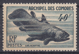 TIMBRE COMORES POISSON COELACANTHE N° 13 NEUF ** GOMME SANS CHARNIERE - Unused Stamps