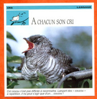 A CHACUN SON CRI Cris Langage Oiseau Vie Des Oiseaux Animaux Animal Fiche Illustree Documentée - Animaux