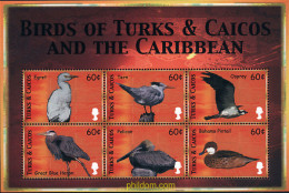 236761 MNH TURKS Y CAICOS 2000 AVES DEL CARIBE - Turks & Caicos