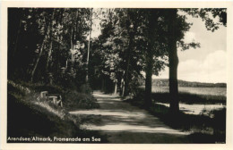 Arendsee In Der Altmark - Promenade Am See - Salzwedel