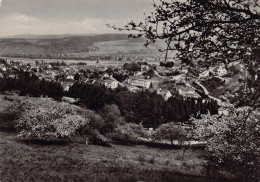 BAD BREISIG / Rhein -  Gesamtansicht - Bad Breisig