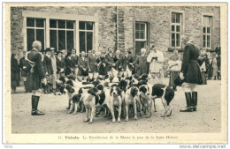 Vielsalm - La Bénédiction De La Meute Le Jour De La Saint-Hubert - Chasse à Cour -1963  ( Voir Verso ) - Vielsalm