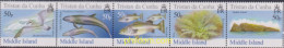 613132 MNH TRISTAN DA CUNHA 2006 FAUNA DE LA ISLA MIDDLE - Tristan Da Cunha