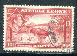 SIERRA LEONE- Y&T N°160- Oblitéré - Sierra Leone (...-1960)