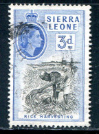 SIERRA LEONE- Y&T N°185- Oblitéré - Sierra Leona (...-1960)