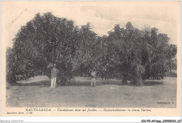 AICP5-AFRIQUE-0566 - HAUTE-SANGA - Caoutchoucs Dans Un Jardin - Centrafricaine (République)