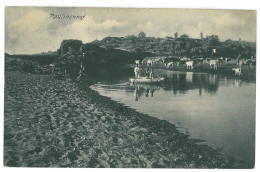 NAM 7 - 23695 PAULINENHOF, Farm, D.S.W. Afrika, Namibia - Old Postcard - Unused - Namibia