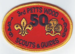 B 25 - 81 UK Scout Badge - 1999 - Padvinderij