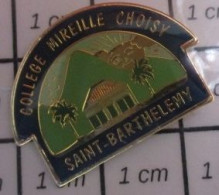 115C  Pin's Pins / Beau Et Rare / ADMINISTRATIONS / COLLEGE MIREILLE CHOISY A ST BARTHELEMY - Administraties