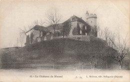 Bellegarde Sur Valserine * Le Château De Mussel - Bellegarde-sur-Valserine