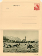 Liechtenstein  1940: Bild-BRIEFKARTE "Schaan, FL" LBK 1b Mi-Nr. K1/02 Ungebraucht Non Circulé (LBK CHF 25.00) - Postwaardestukken