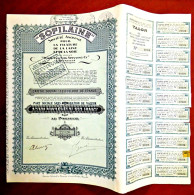 Sofilaine  ,wool & Silk Spinning 1938 Belgium Share Certificate - Textiel