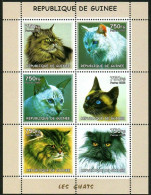 Guinea  2002 World Famous Cat Siamese Cat Maine Cat British Long Haired Cat，MS MNH - Guinea (1958-...)