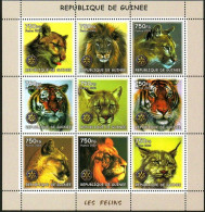Guinea  2002 Wild Feline Animals, Lions, Tigers, Cheetahs，MS MNH - Guinea (1958-...)