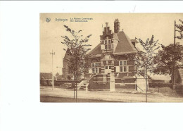 Uitbergen : Het Gemeentehuis In 1946 Verstuurd - Berlare