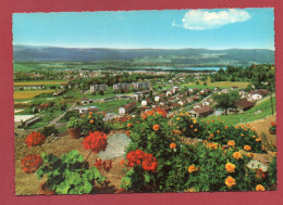 YVERDON - Vue Générale - Yverdon-les-Bains 