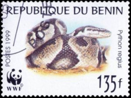 BENIN - Phyton à Boule (Python Regius) - Serpenti