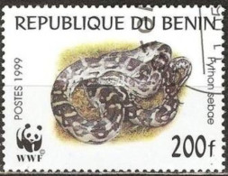 BENIN - Phyton Des Rochers Africains (Python Sebae) - Serpenti