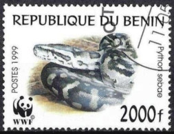 BENIN - Phyton De Roche Africain (Python Sebae) - Serpents