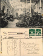 Postcard Kopenhagen København Carlsberg Glyptotek - Palmen# 1912 - Danemark