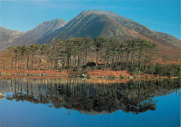 Irlande - Galway - Connemara - The Lower Reaches Of Derryclare Lough Near The 12 Bens Mountain Range - Ireland - CPM - V - Galway