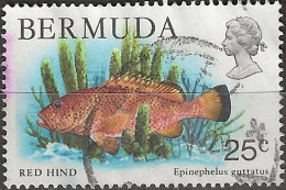BERMUDA 1978 Wildlife - 25c. - Red Hind FU - Bermuda