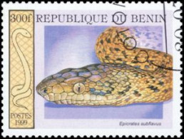 BENIN - Boa De La Jamaïque (Epicrates Subflavus) - Serpenti