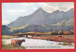 SKYE  GLEN SLIGACHAN  RAPHAEL TUCK BONNIE SCOTLAND  ISLANDS    SERIES+ HIGHLAND CATTLE - Fife