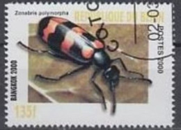 BENIN -  Coléoptère Vésiculeux (Zonabris Polymorpha) - Beetles