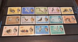 Ascension Set 14 Stamps Mint Birds - Palmípedos Marinos