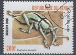 BENIN -  Charançon (Eupholus Bennetti) Bangkok 2000 - Beetles