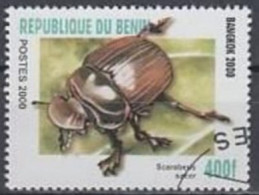 BENIN -  Scarabée (Scarabaeus Sacer) - Escarabajos