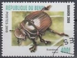 BENIN -  Scarabée (Scarabaeus Sacer) - Kevers