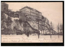 Reval/ Tallinn Dom Mit Der Freitreppe 1904 - Estland