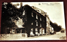 ANSEREMME  -- Hôtel Du Brochet  -  Façade Principale - Parks, Gärten