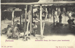 Suriname Indiaansche Kamp (de Cassave Plant Bereidende) (n°18), Top Carte, Rare - Surinam