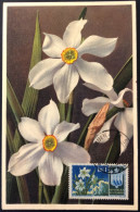 Saint Marin, Cartes-maximum - Fleurs - (B1905) - FDC