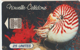 FC43 - TELECARTE DE NOUVELLE CALEDONIE Pour 1 € - Nieuw-Caledonië